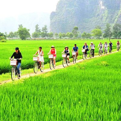 FOX15: HANOI CITY - HA LONG - NINH BINH - SAPA - HOI AN - HO CHI MINH - MEKONG DELTA - CU CHI TOUR 15D14N