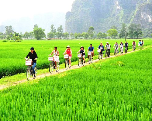 FOX15: HANOI CITY - HA LONG - NINH BINH - SAPA - HOI AN - HO CHI MINH - MEKONG DELTA - CU CHI TOUR 15D14N