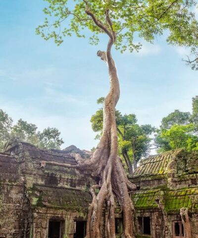 FCN3: PHNOM PENH CLASSIC TOUR 3D2N