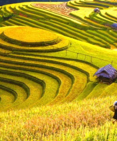 FOX8: HANOI CITY – HA LONG – SAPA TOUR 8D7N