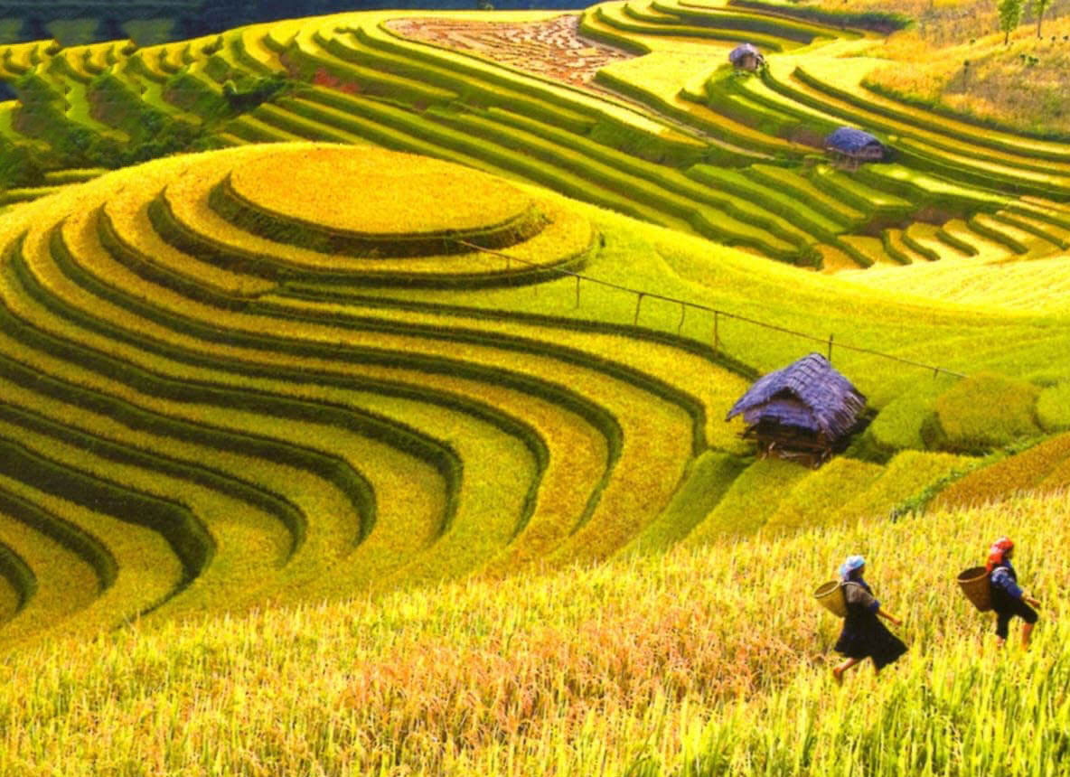 FOX8: HANOI CITY – HA LONG – SAPA TOUR 8D7N