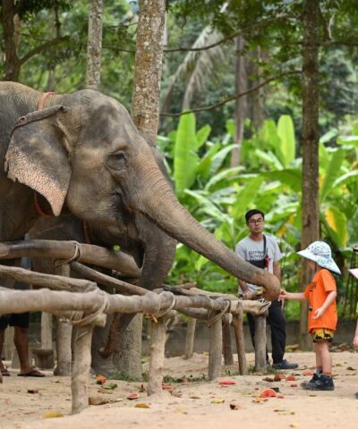 FCM5: CHIANG MAI TOUR 5D4N