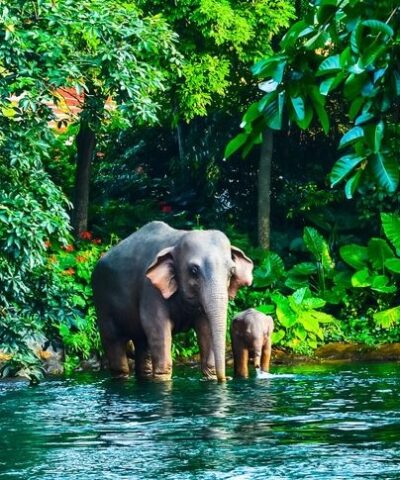 FTU8: THAILAND UNUSUAL 8D7N